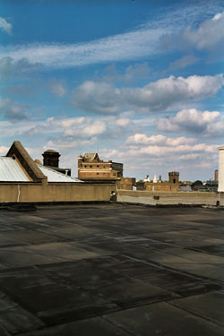 Current Asphalt roof